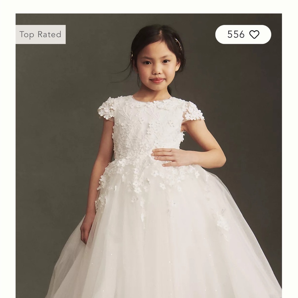 Princess Daliana Floral Appliqué flower girl dress - Anthropologie Size 6